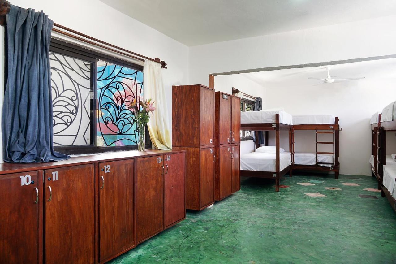 Single Bed in Mixed Dormitory Room,1033677581:JPEG